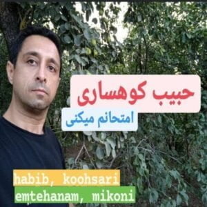 دانلود آهنگ حبیب کوهساری به نام امتحانم میکنی