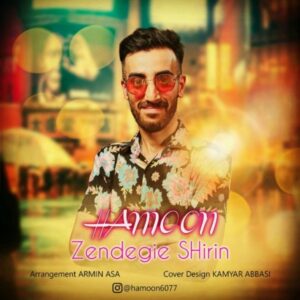 دانلود آهنگ هامون به نام زندگی شیرین