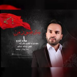 دانلود آهنگ میلاد تندرو به نام سنگ صبور من