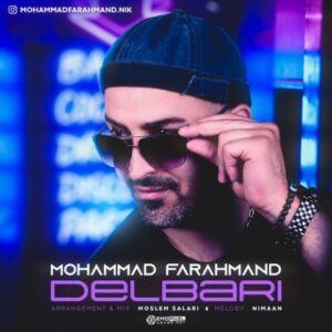 دانلود آهنگ محمد فرهمند به نام دلبری