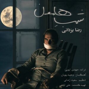 دانلود آهنگ رضا یزدانی به نام شب هامون