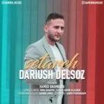 دانلود آهنگ داریوش دلسوز به نام ستاره - 