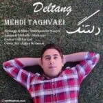 دانلود آهنگ مهدی تقوایی به نام دلتنگ که میشم - 