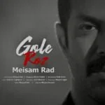 دانلود آهنگ میثم راد به نام گل رز - 