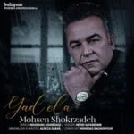 دانلود آهنگ محسن شکرزاده به نام یاد الع - 