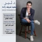 دانلود آهنگ سعید شریف زاده به نام دلبر - 