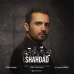 دانلود آهنگ شهداد به نام بی قرارتم - 