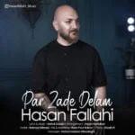 دانلود آهنگ حسن فلاحی به نام پر زده دلم - 