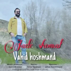 دانلود آهنگ وحید هوشمند به نام جاده شمال