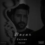 دانلود آهنگ زیسون به نام باور - 
