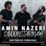 دانلود آهنگ امین ناظری به نام دیوونه ترینم