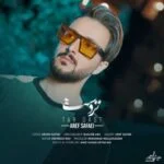 دانلود آهنگ عارف صفایی به نام تردست - 