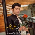 دانلود آهنگ حفیظ تک استار به نام گل مریم - 