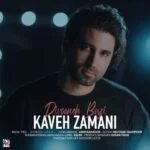 دانلود آهنگ کاوه زمانی به نام دیوونه بازی - 