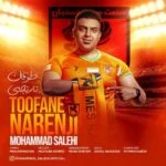 دانلود آهنگ محمد صالحی به نام طوفان نارنجی - 