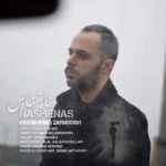 دانلود آهنگ محمد زرنوش به نام ناشناس - 