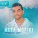 دانلود آهنگ رضا مریدی به نام خوب بلده - 