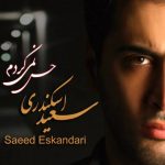 دانلود آهنگ سعید اسکندری به نام حس نمی کردم - 