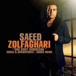 دانلود آهنگ سعید ذوالفقاری به نام دیگه بهت نمیرسم - 