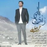 دانلود آهنگ علی جلیلی به نام زندگی با تو