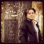 دانلود آهنگ مجید اخشابی به نام درخت دوستی - 
