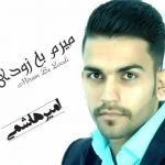 دانلود آهنگ امیر هاشمی به نام میرم به زودی - 