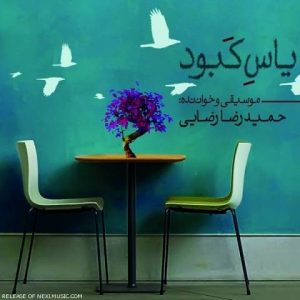 دانلود آهنگ حمیدرضا رضایی به نام یاس کبود