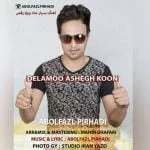 دانلود آهنگ ابوالفضل پیرهادی به نام دلمو عاشق کن