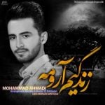 دانلود آهنگ محمد احمدی به نام زندگیم آرومه - 