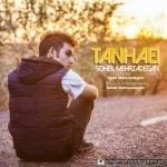دانلود آهنگ سهیل مهرزادگان به نام تنهایی