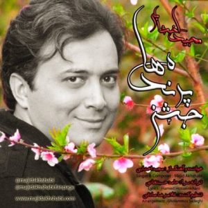 دانلود آهنگ مجید اخشابی به نام جشن پرنده ها