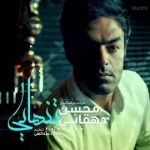 دانلود آهنگ محسن دهقانی به نام تنهایی - 