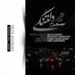 دانلود آهنگ رضا اشرفی به نام دلتنگی
