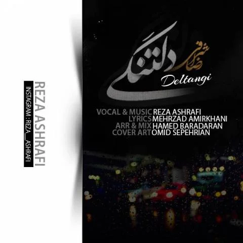دانلود آهنگ رضا اشرفی به نام دلتنگی