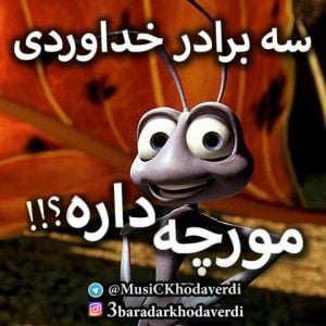 دانلود آهنگ سه برادر خداوردی به نام مورچه داره