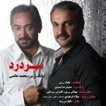 دانلود آهنگ بابک زرین و محمد حاتمی به نام سر درد - 