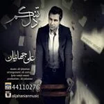 دانلود آهنگ علی جهانیان به نام دلتنگم