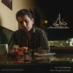دانلود آهنگ حمید بادام دری به نام دنیای تو - 