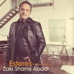 دانلود آهنگ زکی شمس آبادی به نام استرس - 