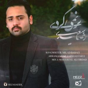 دانلود آهنگ رضا سعیدی به نام برنمیگردی