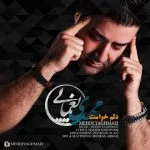 دانلود آهنگ مهدی یغمایی به نام دلم خواست - 
