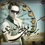 دانلود آهنگ حامد پناهی به نام برگ های پاییزی - 