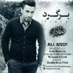 دانلود آهنگ علی اندی به نام برگرد - 