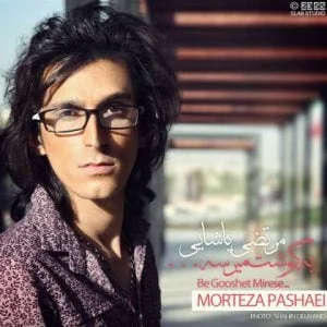 دانلود آهنگ مرتضی پاشایی به نام به گوشت میرسه