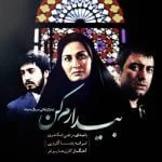 دانلود آهنگ مرتضی اسکندری به نام بیدارم کن - 