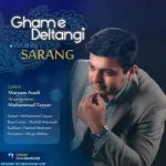 دانلود آهنگ سارنگ به نام غم دلتنگی - 