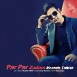 دانلود آهنگ مصطفی تفتیش به نام پر پر زدم - 