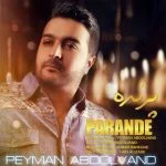 دانلود آهنگ پیمان عبدالوند به نام پرنده - 